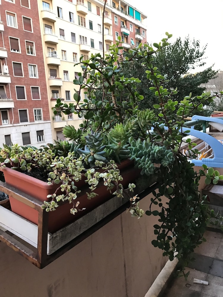 施設からの眺望