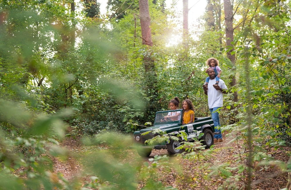 子供向けアクティビティ