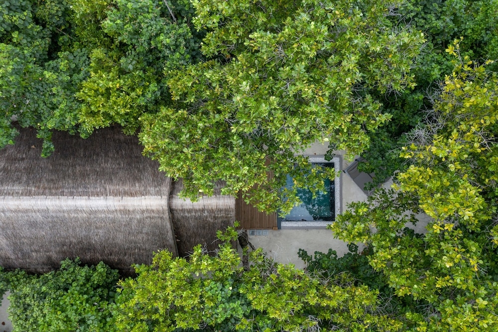 ガーデン ビュー