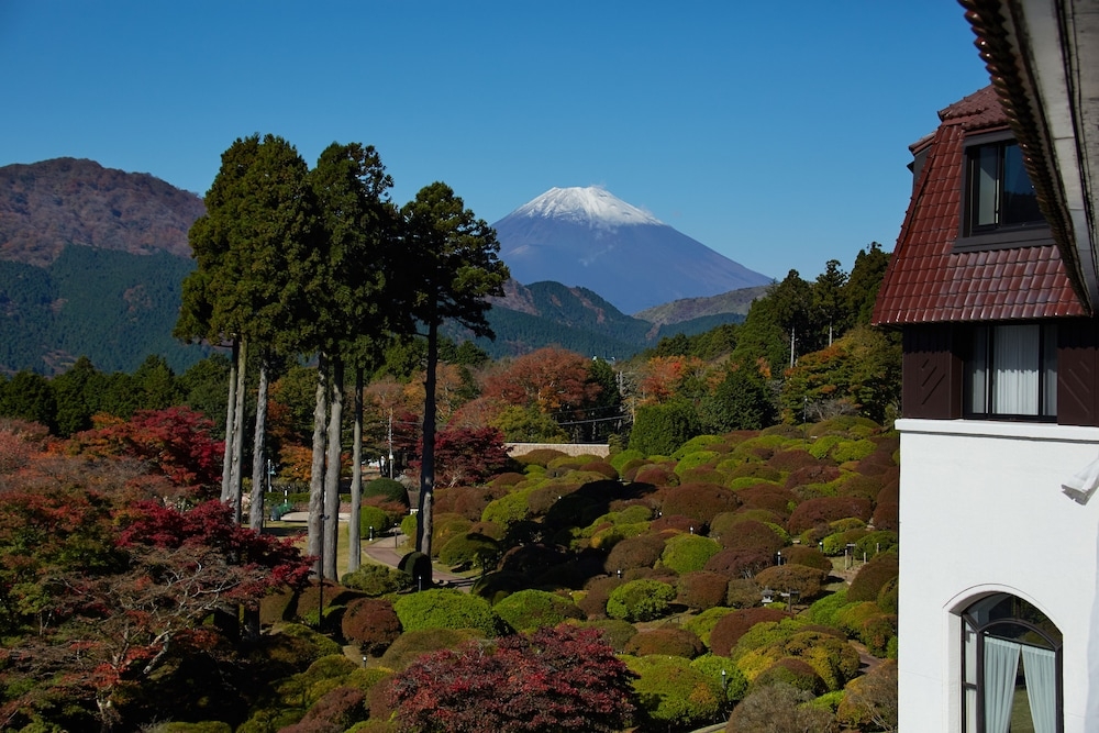 施設からの眺望