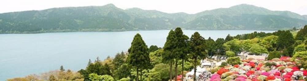 施設からの眺望