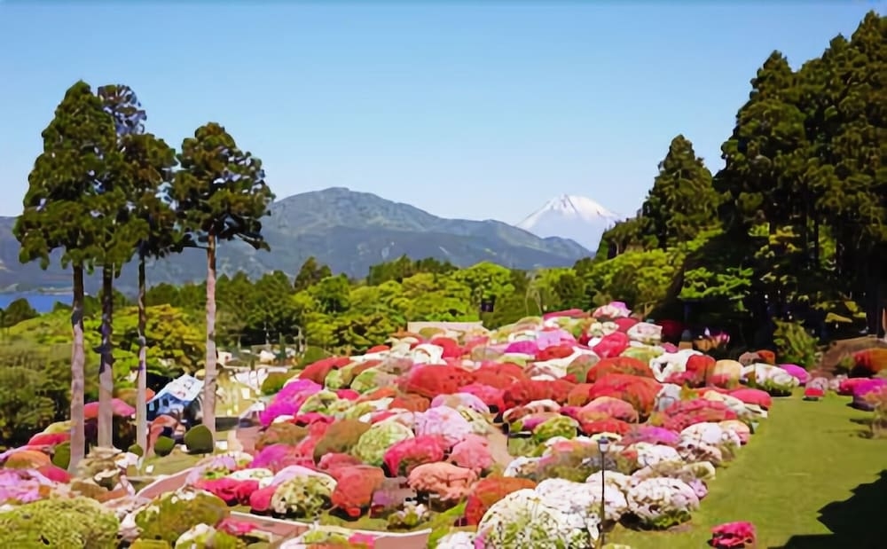 施設からの眺望