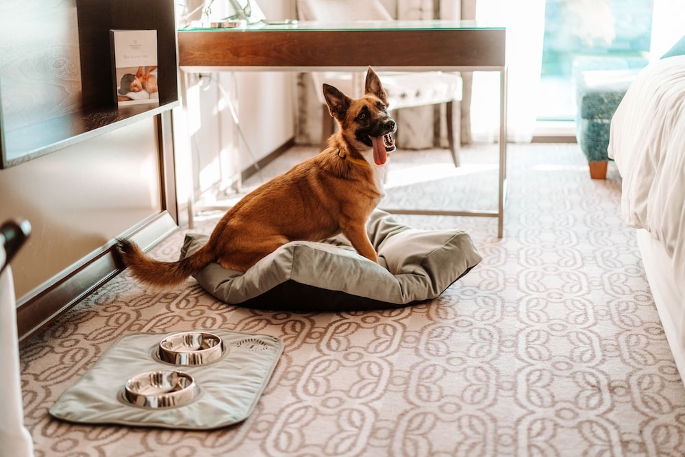 客室の設備とサービス