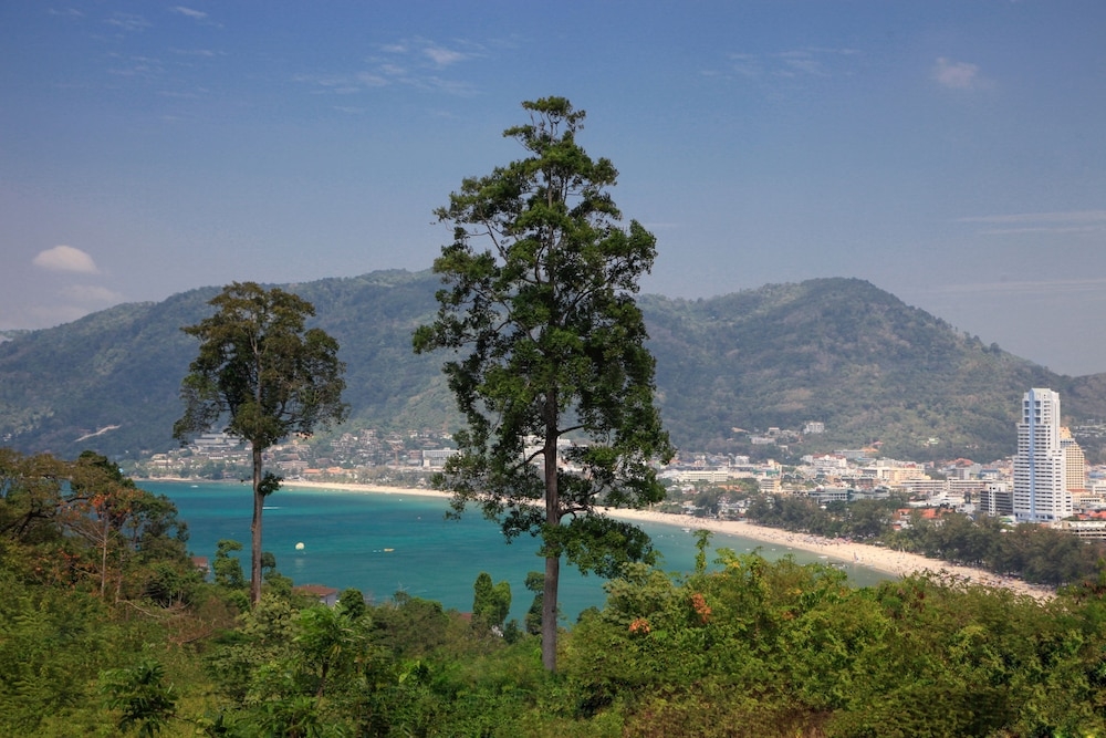 施設からの眺望