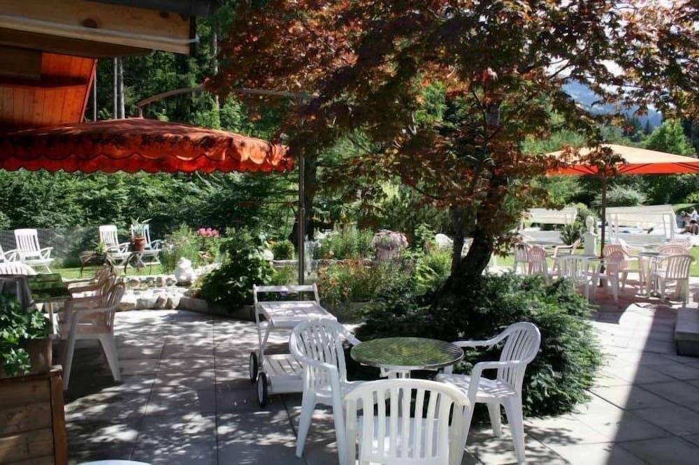 テラス / パティオ