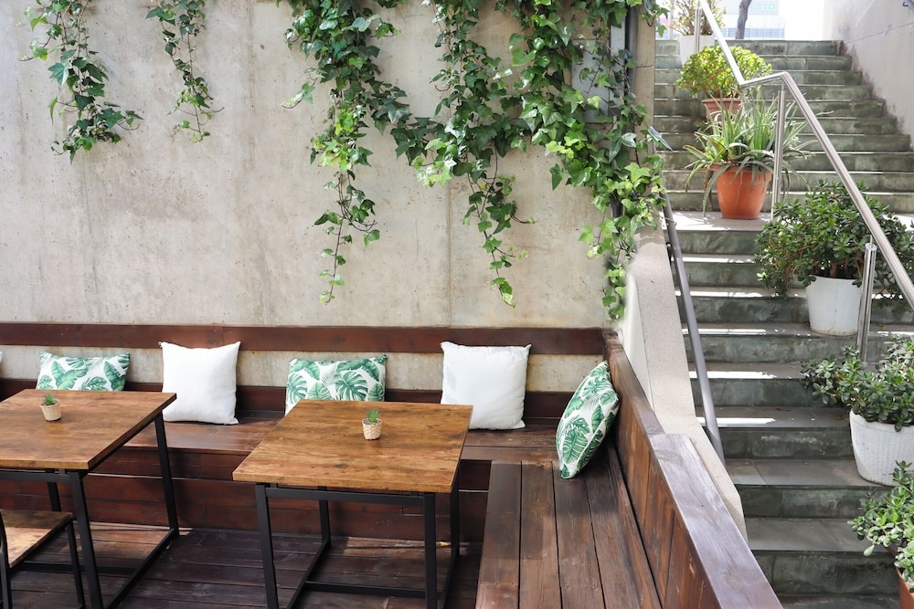 テラス / パティオ