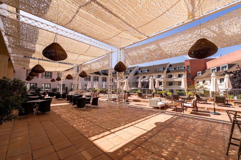 テラス / パティオ