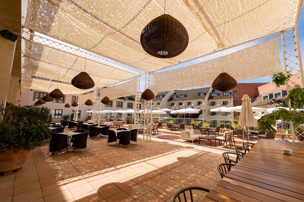 テラス / パティオ