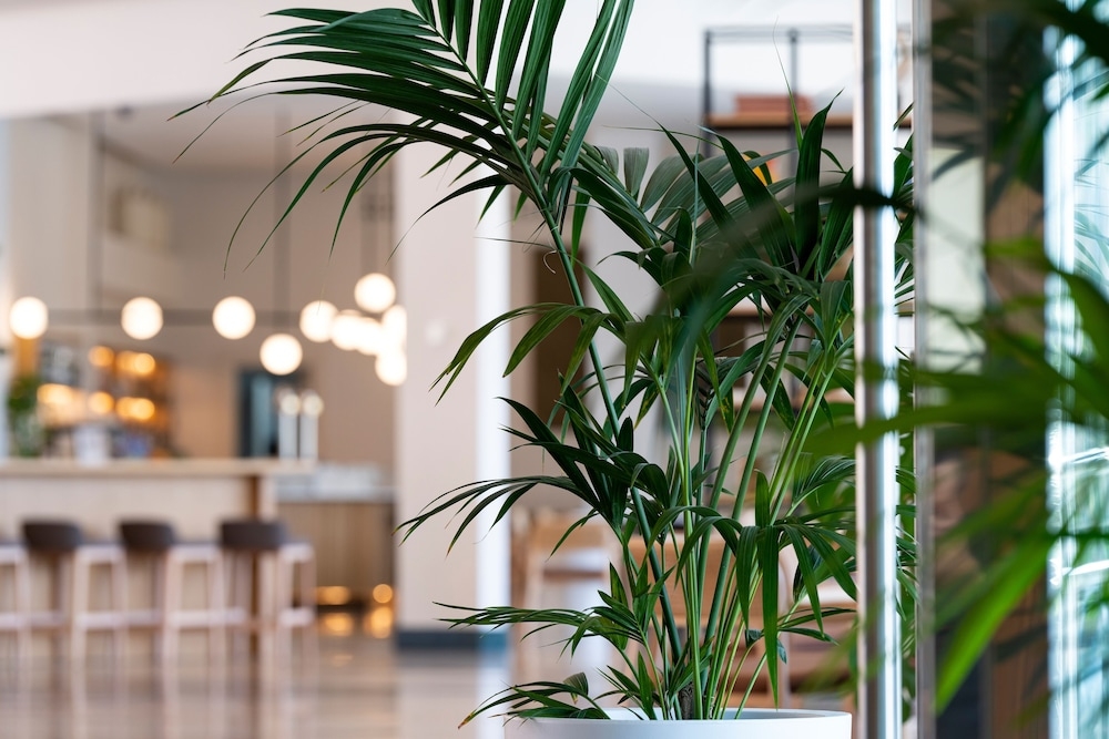 ロビーラウンジ