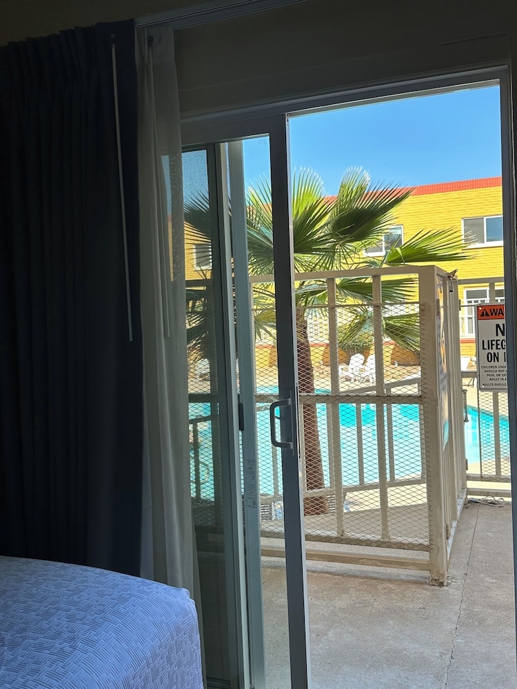 テラス / パティオ