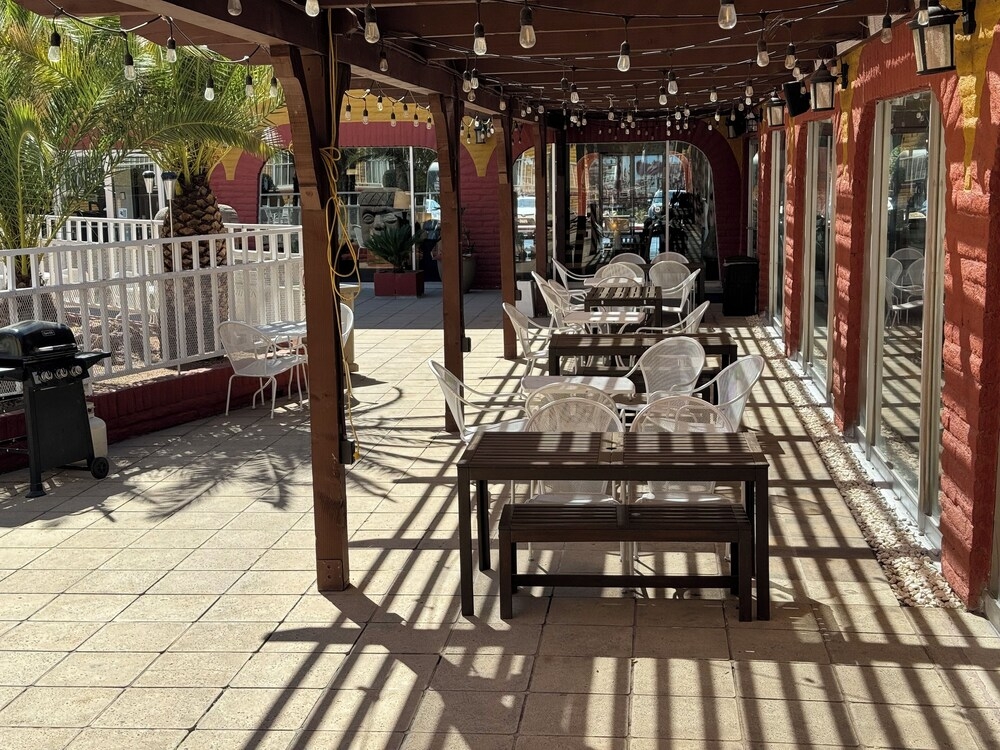 バーベキュー / ピクニック エリア