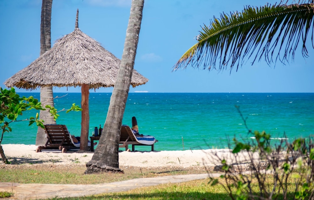 バーベキュー / ピクニック エリア