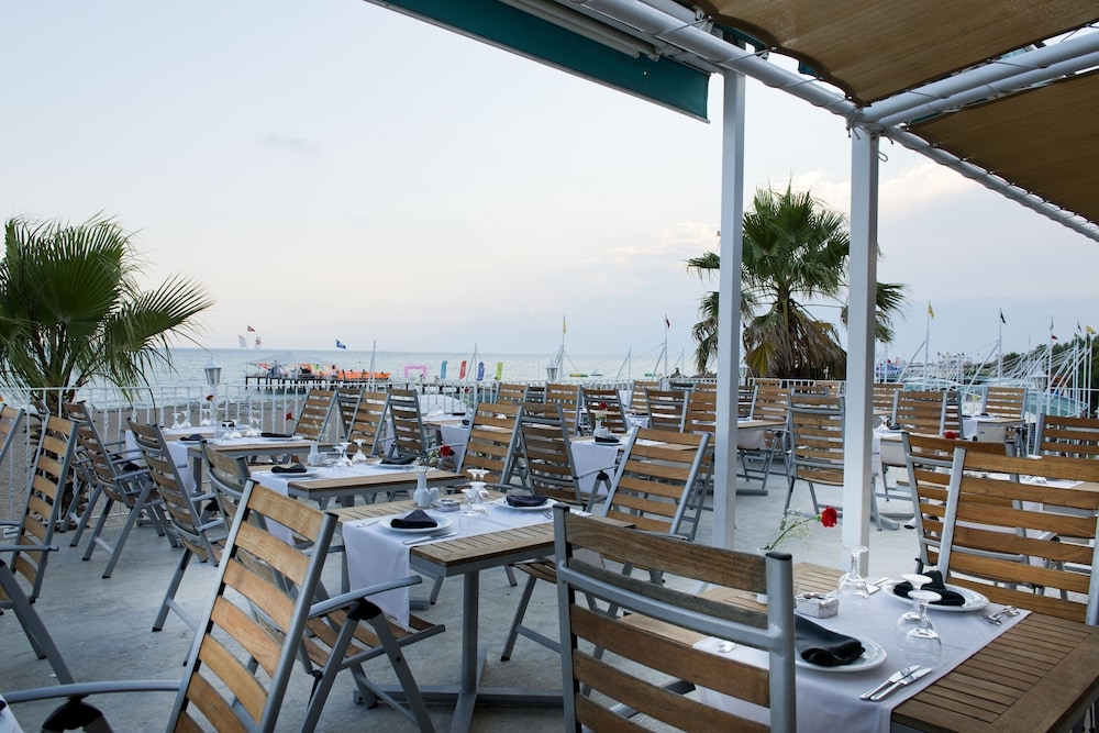 バーベキュー / ピクニック エリア