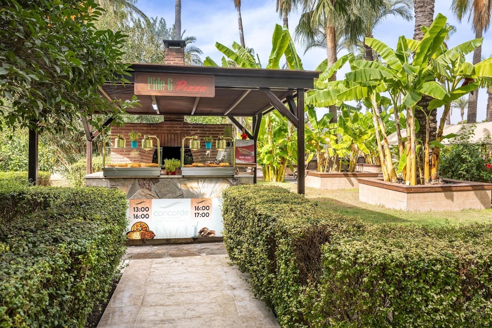 テラス / パティオ