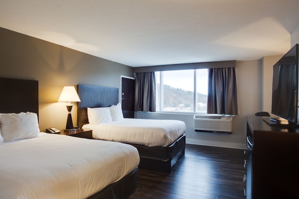 部屋からの景観