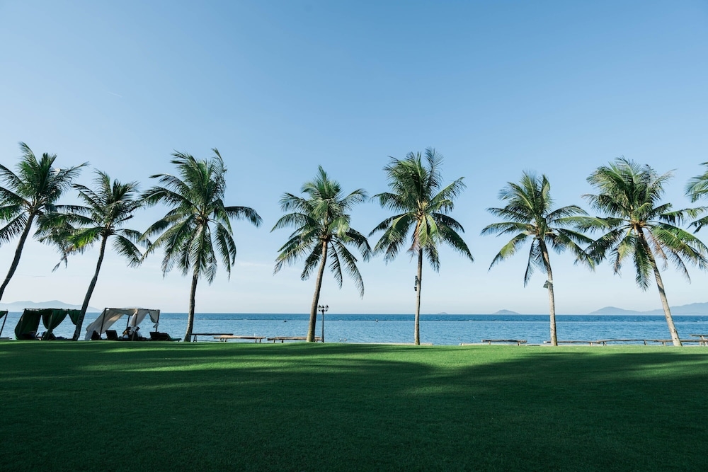 ビーチ / オーシャン ビュー