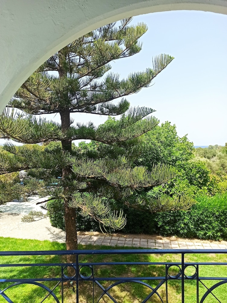 テラス / パティオ