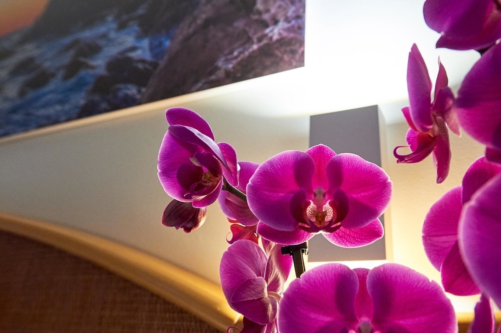 部屋からの景観