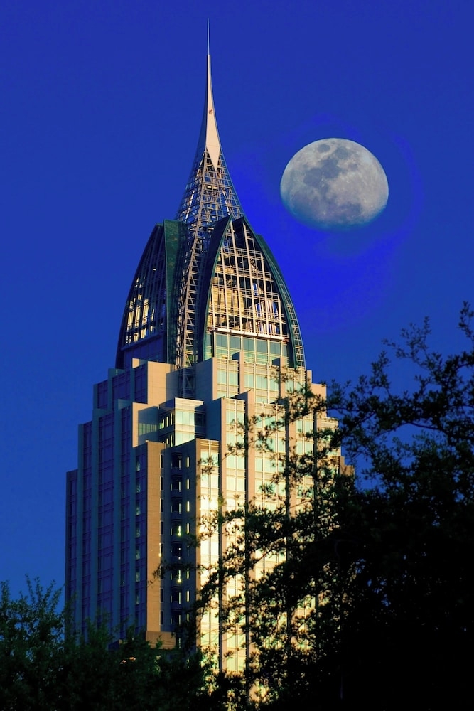 施設からの眺望