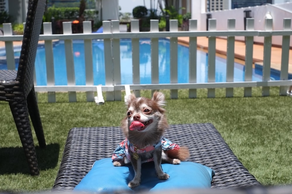 ペット用設備・サービス