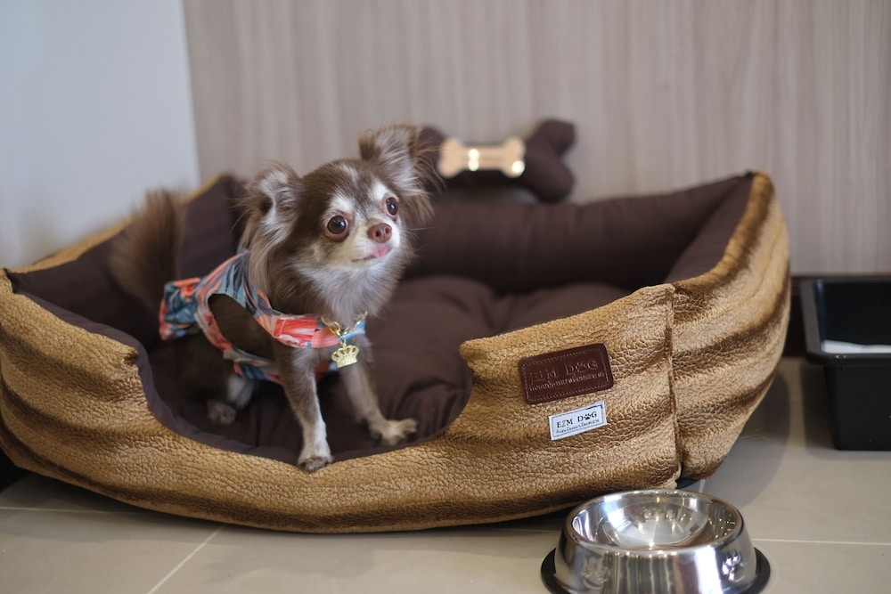 ペット用設備・サービス