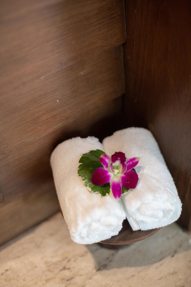 客室の設備とサービス