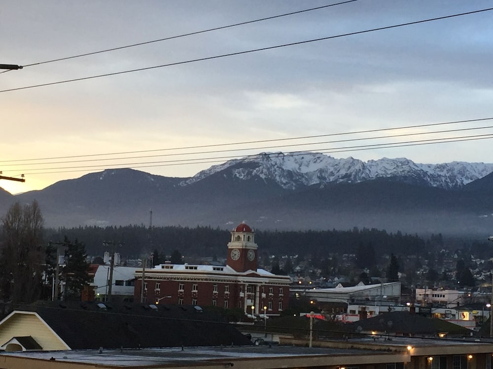 マウンテン ビュー