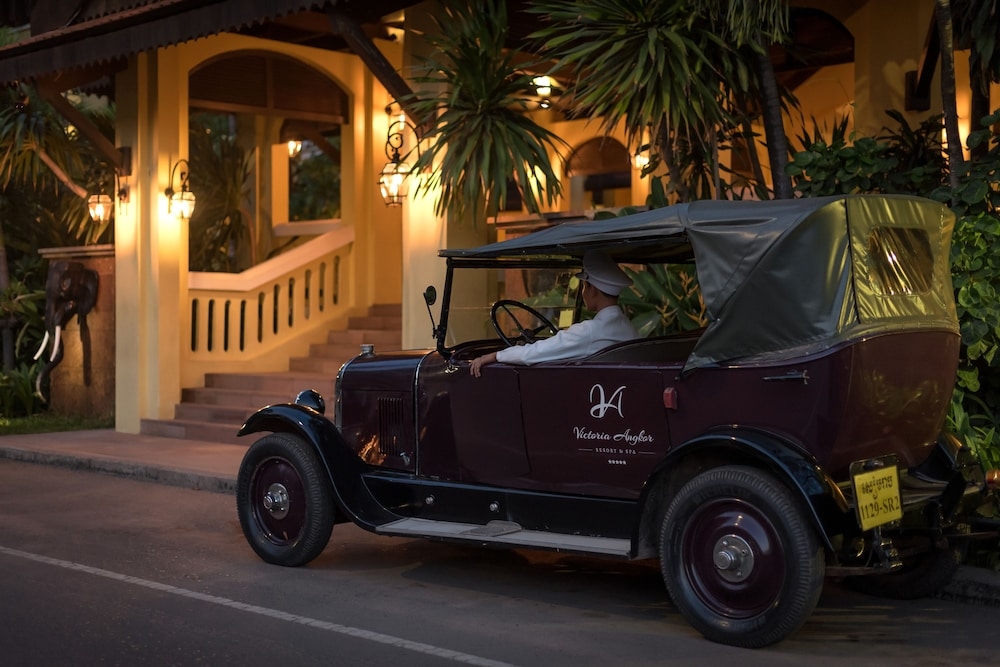 ヘリコプター / 飛行機ツアー