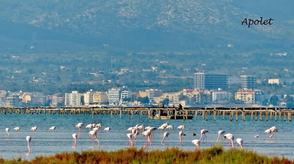 マウンテン ビュー