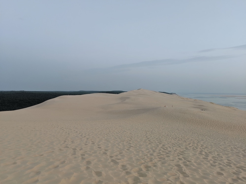 ヘリコプター / 飛行機ツアー