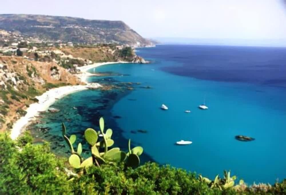 ビーチ / オーシャン ビュー