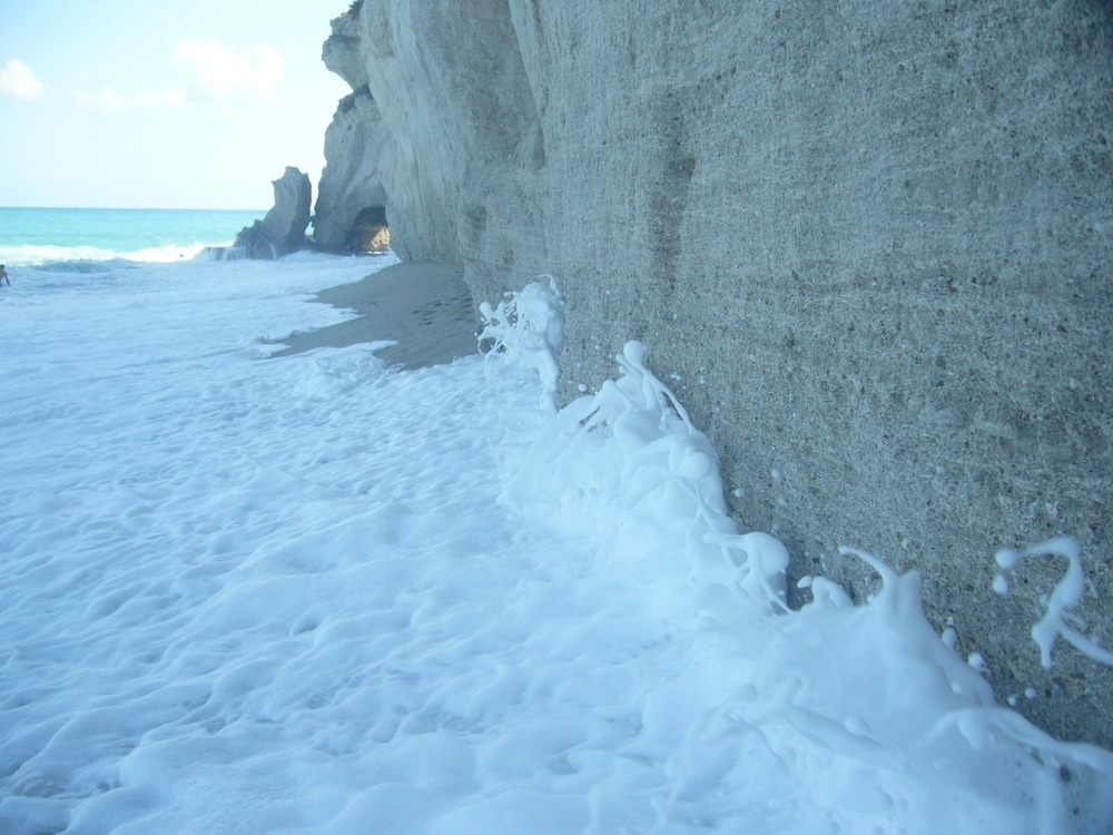 ビーチ / オーシャン ビュー
