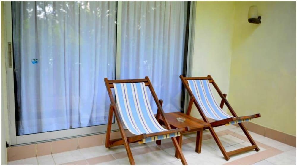 テラス / パティオ