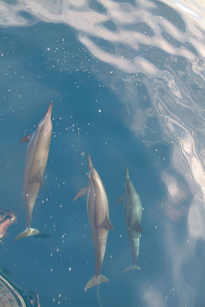 施設からの眺望