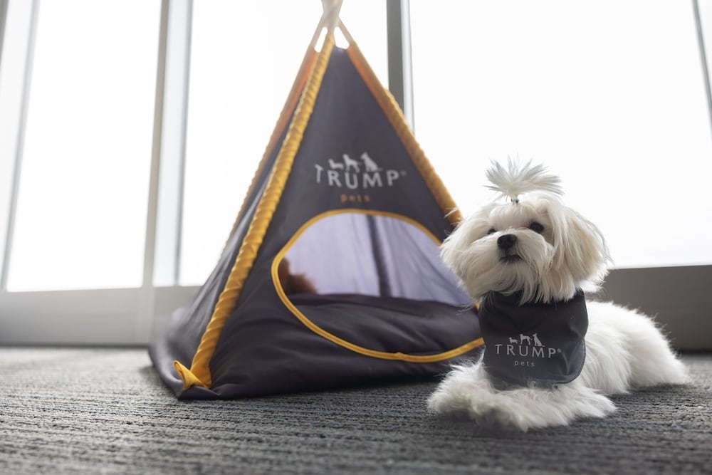 ペット用設備・サービス