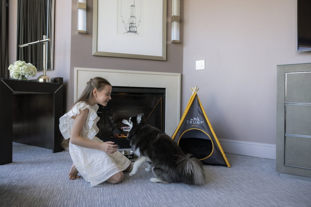 ペット用設備・サービス