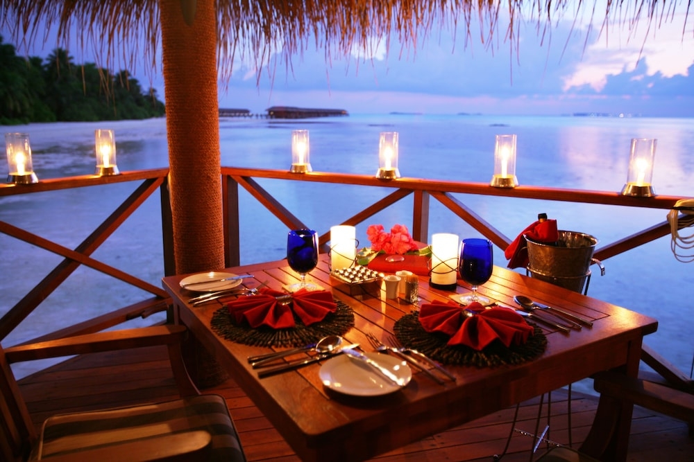 テラス / パティオ