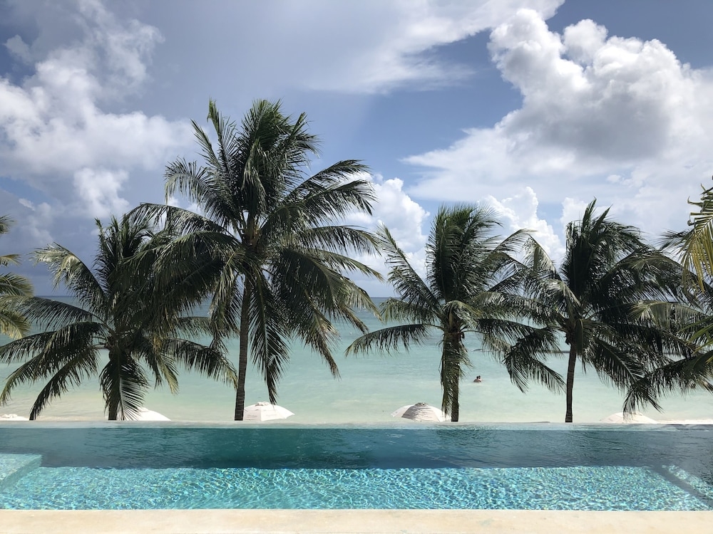 ビーチ / オーシャン ビュー