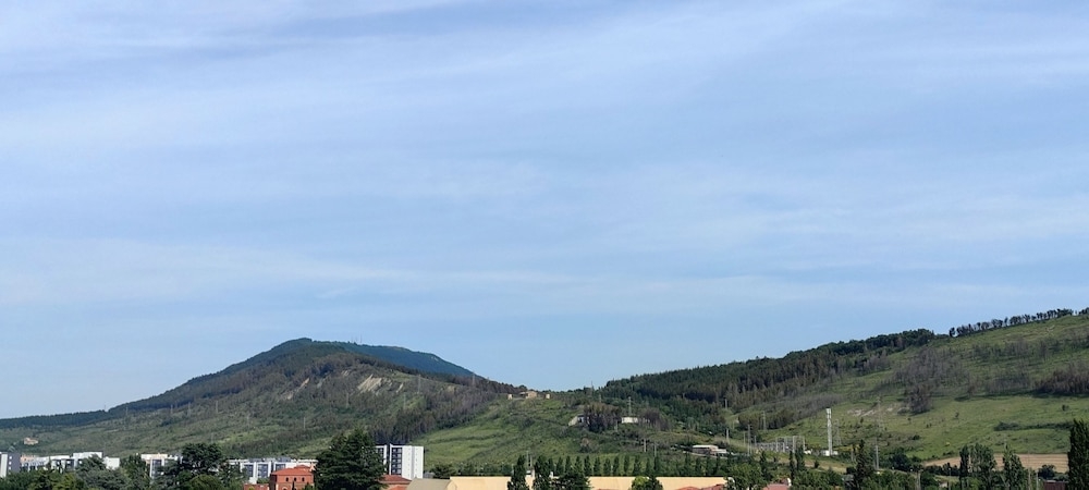 マウンテン ビュー