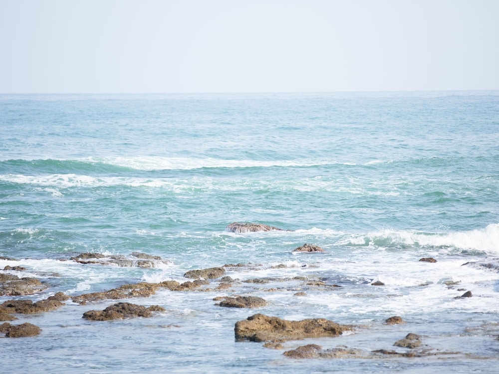 ビーチ / オーシャン ビュー