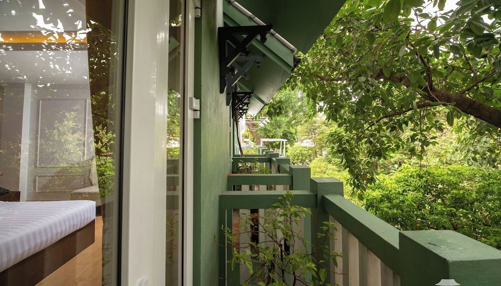 テラス / パティオ