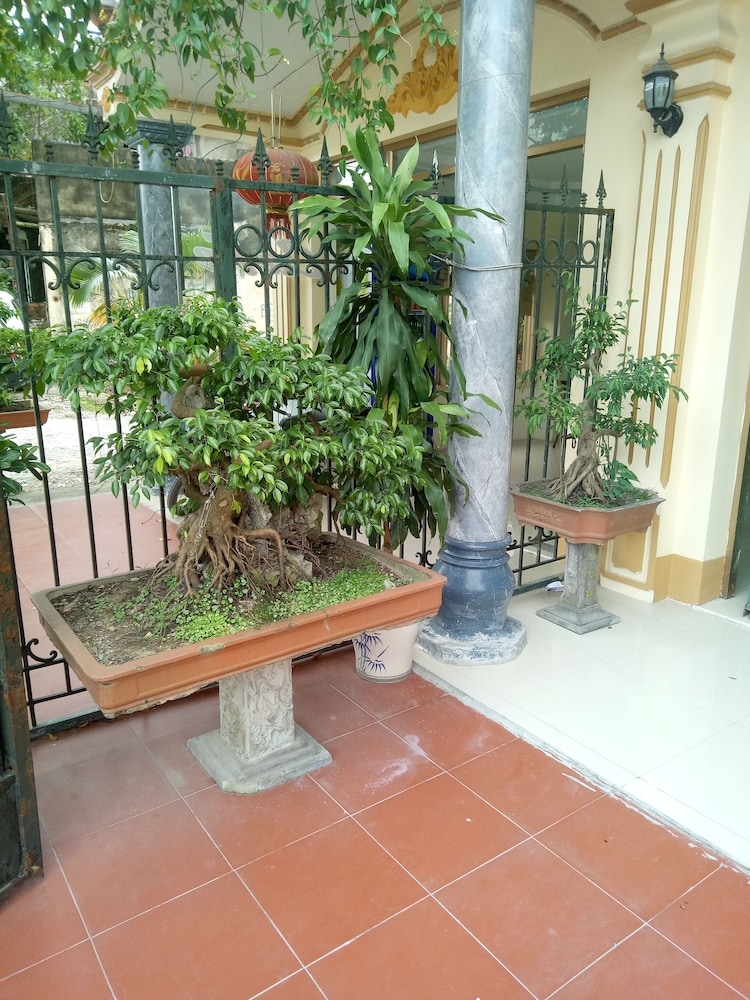 テラス / パティオ