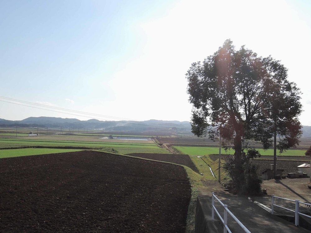 メイン イメージ