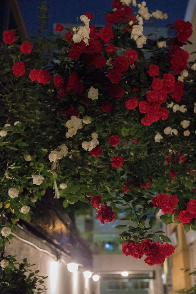 施設からの眺望