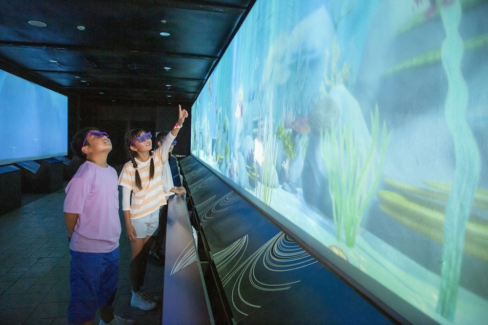 子供用の遊び場 - 屋内