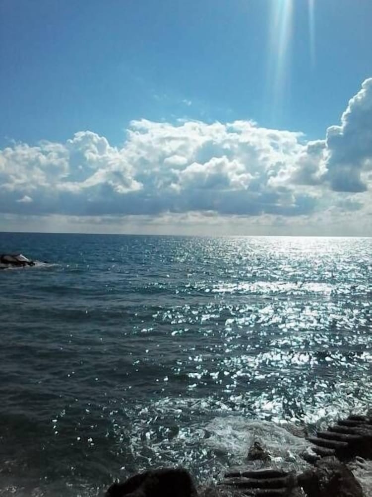 施設からの眺望