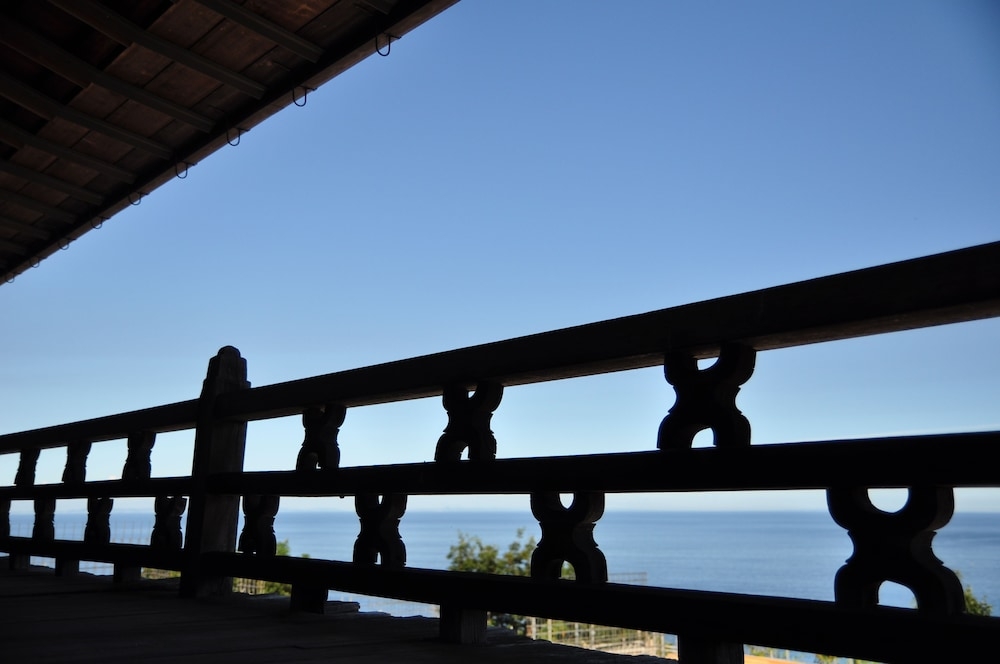 テラス / パティオ