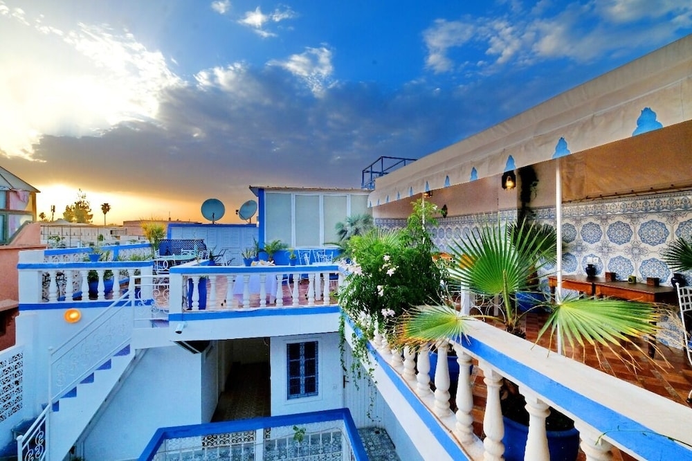 テラス / パティオ