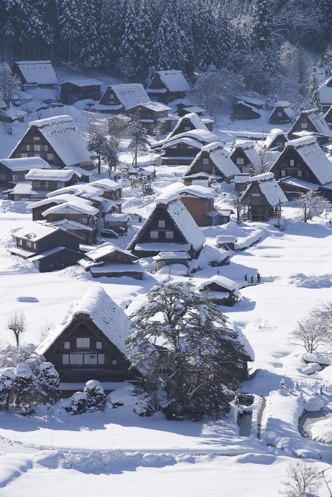 スノー スポーツとスキー