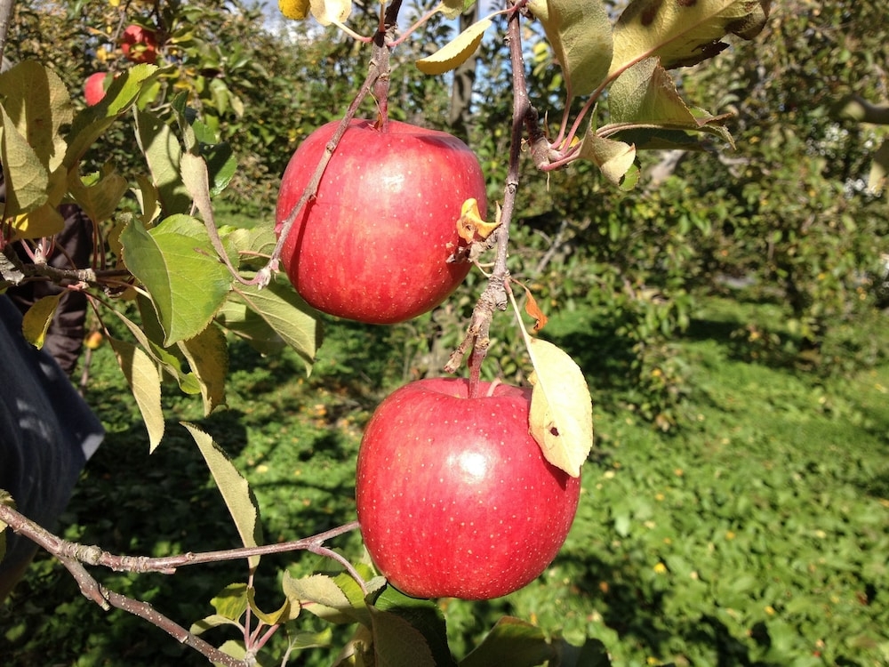 施設からの眺望